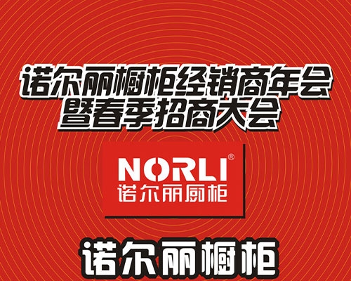 中华橱柜网高端访谈—宁波诺尔丽橱柜经理和优秀加盟商